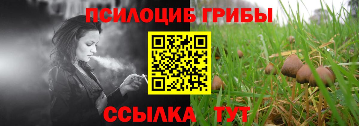 Галлюциногенные грибы мицелий  Вход с VPN  продажа наркотиков  Свободный 